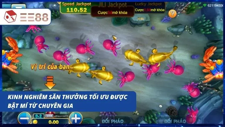 Áp dụng những bí quyết thực chiến đỉnh cao để tối ưu hóa nguồn lợi nhuận